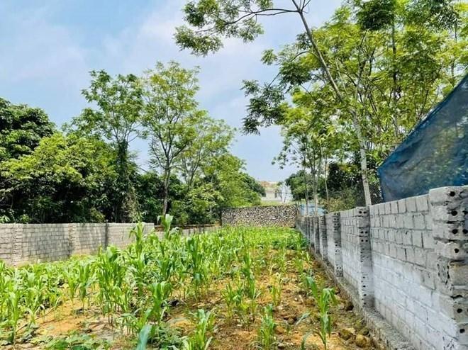 Giá đất nền tăng mạnh, có nơi tăng đến 100%